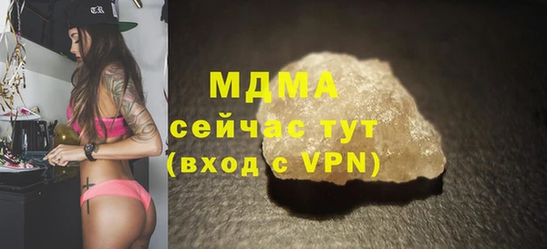 хмурый Аркадак