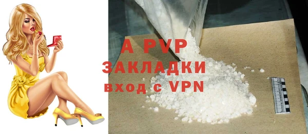 хмурый Аркадак