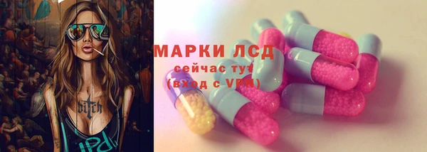 хмурый Аркадак