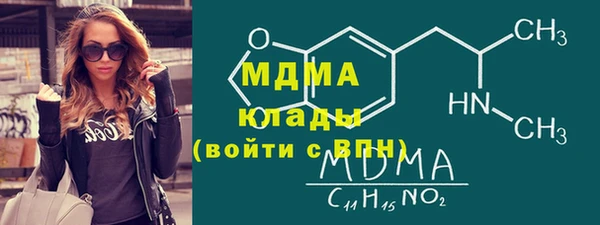 хмурый Аркадак