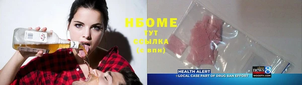 хмурый Аркадак