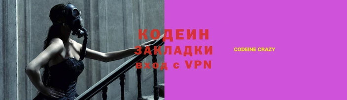хмурый Аркадак