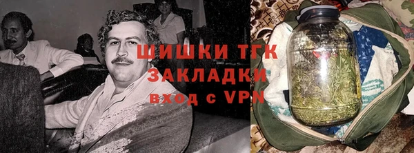 хмурый Аркадак