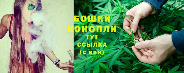 мдпв Осинники