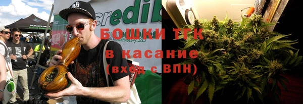 хмурый Аркадак