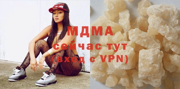 хмурый Аркадак