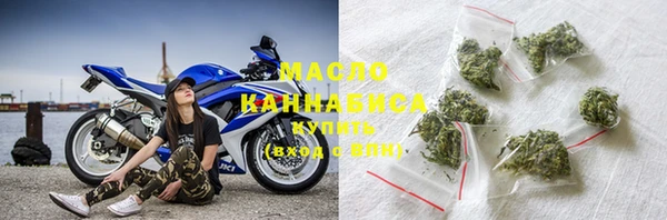 хмурый Аркадак